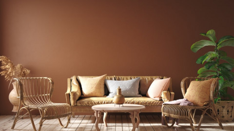Brown Color Interior wall Paint