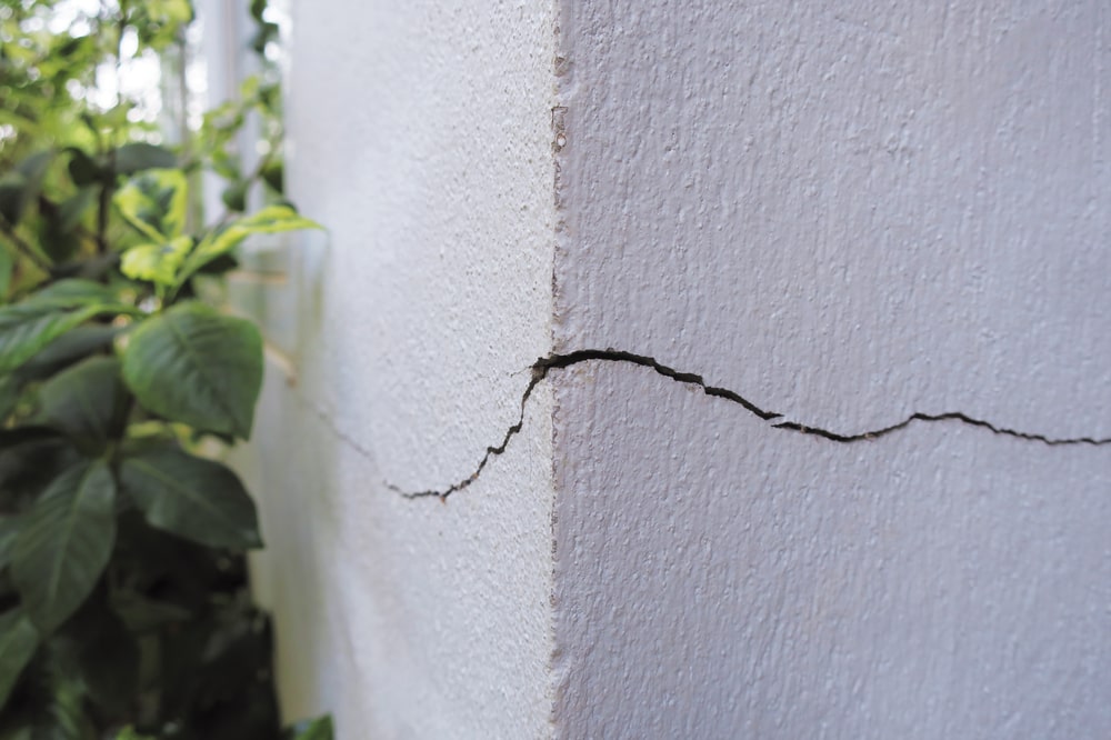 Nippon Paint Wall Crack Solution