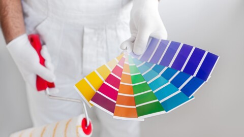 Wall Paint Colour Ideas