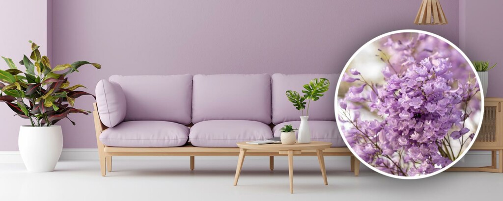 diy wall painting ideas-violet colour home interior wall paint-nippon