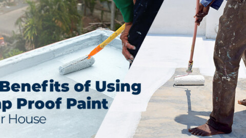 benefits of using damp proof paint in your house.