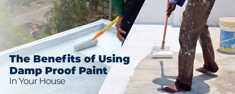 benefits of using damp proof paint in your house.